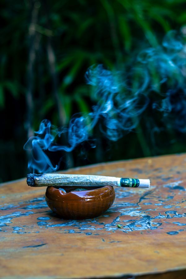 Cannabis joint resting in an ashtray in the outdoor garden at Magical Garden, Ko Samui